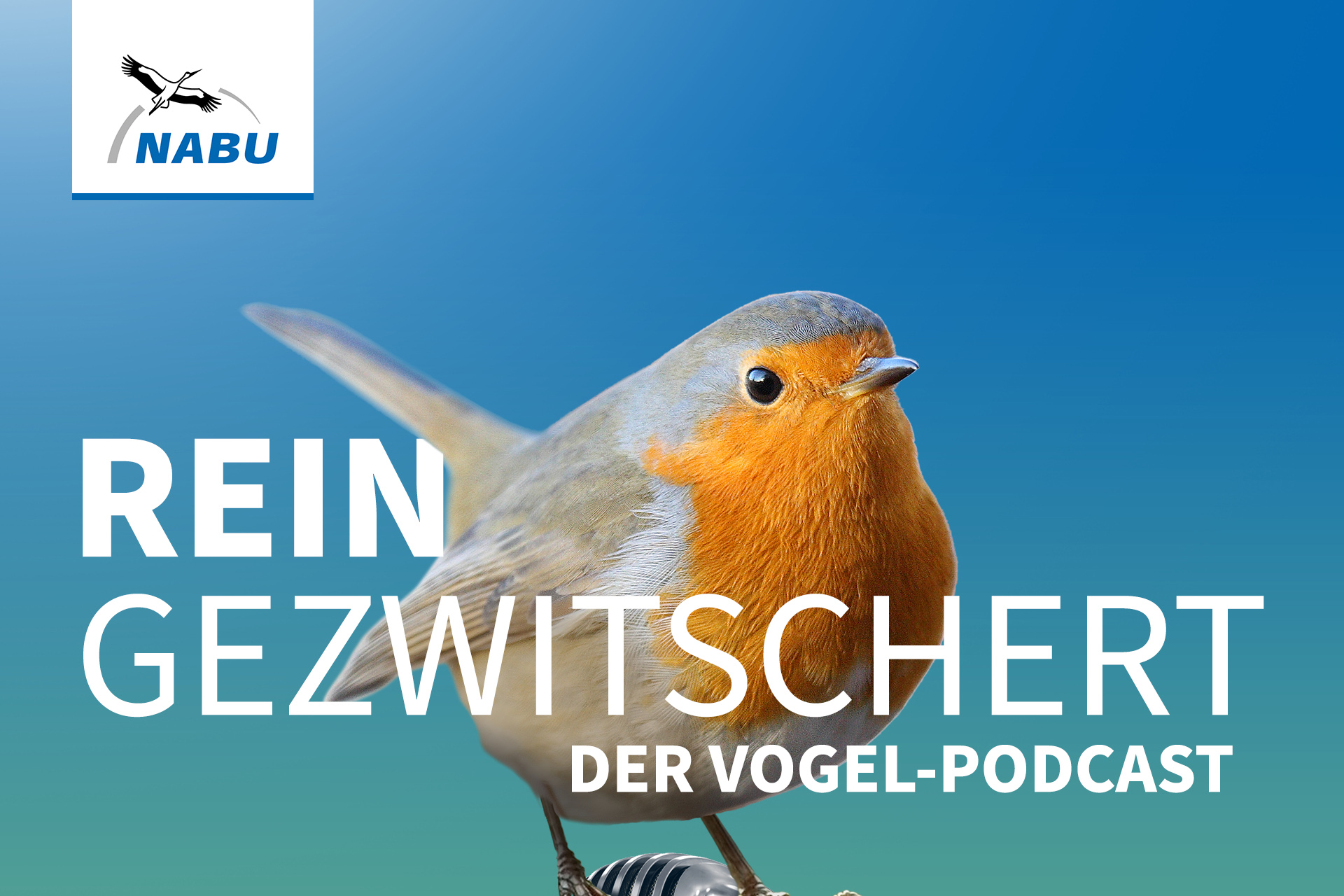 Rotkelchen auf einem Mikrofon, Schriftzug Reingezwitschert und NABU Logo