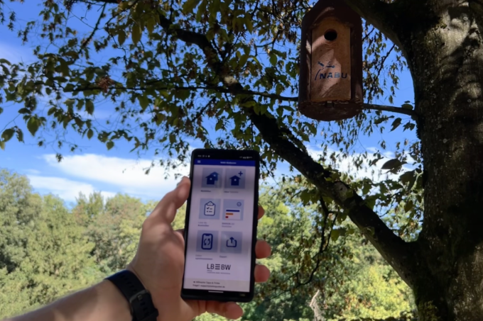 Person hält die Nistkasten-App in der Hand. Im Hintergrund sieht man einen Nistkasten am Baum.