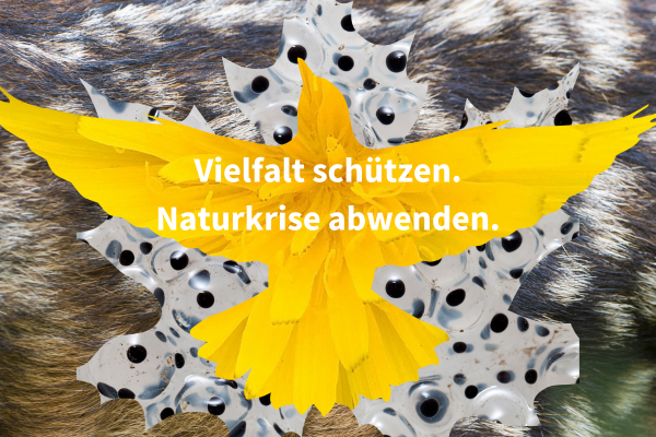 Vielfalt schützen. Naturkrise abwenden
