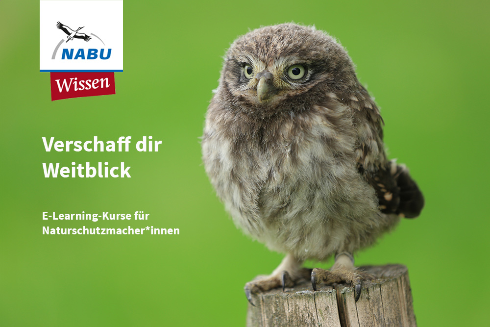 Relaunch NABU-Wissen