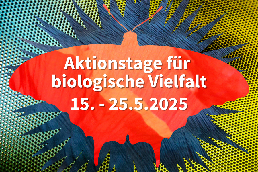 Schmetterling mit Text zu den Aktionstagen