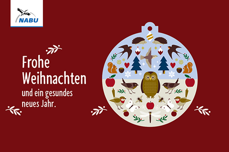 Eine Weihnachtskugel mit verschiedenen Tieren und Pflanzen darin
