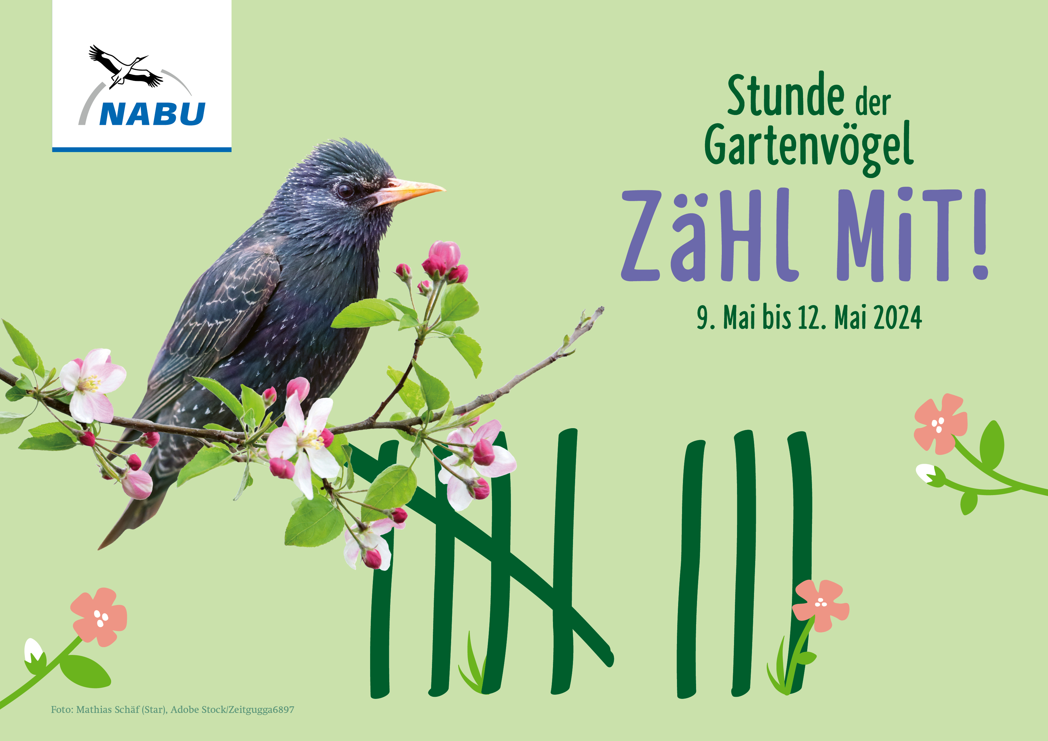 Zähl mit bei der Stunde der Gartenvögel