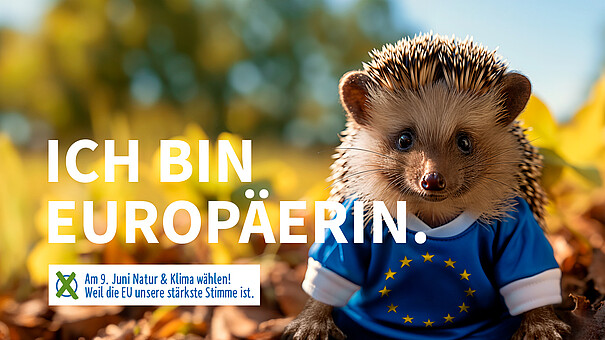 Rechts ist ein Igel im T-Shirt mit der Europaflagge. Links ein Schriftzug "Ich bin Europärin".