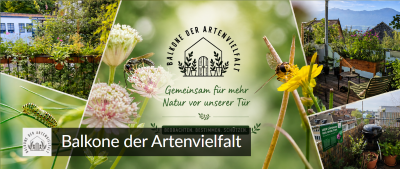 Banner der Website "Balkone der Artenvielfalt"